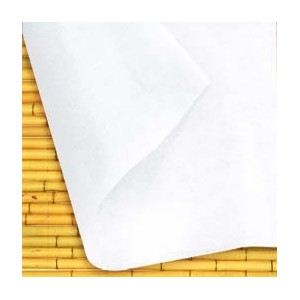 Plain Spunlace Nonwoven Rollen aus China